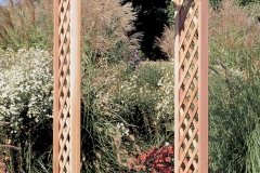 Cedar Arbor 4