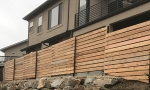 Cedar Fence 25