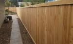 Cedar Fence 7