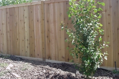 Cedar Fence 14