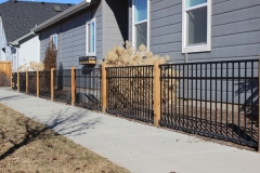 wrought iron western 3 rail -3